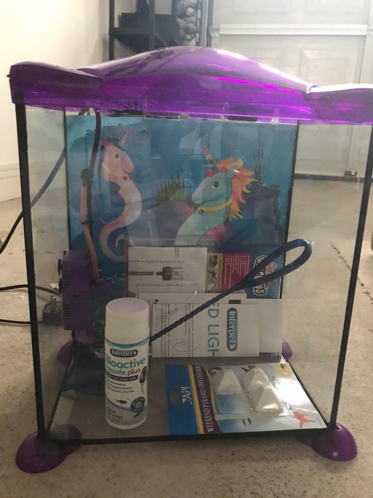unicorn fish tank